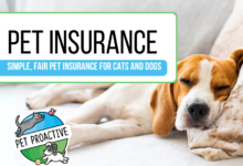 natwest pet insurance