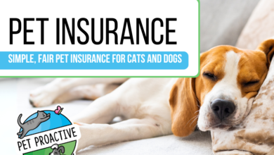 natwest pet insurance