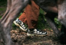 salomon xt6