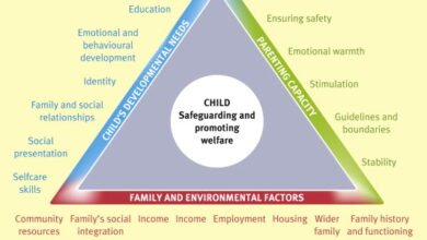 assessment triangle social work
