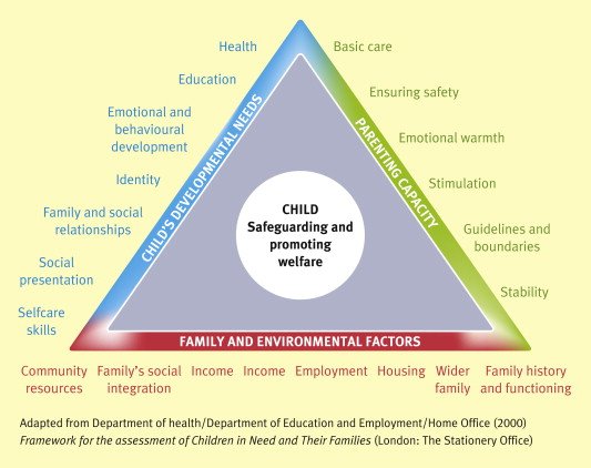 assessment triangle social work