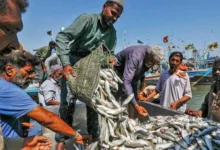 fishing news buy and sell