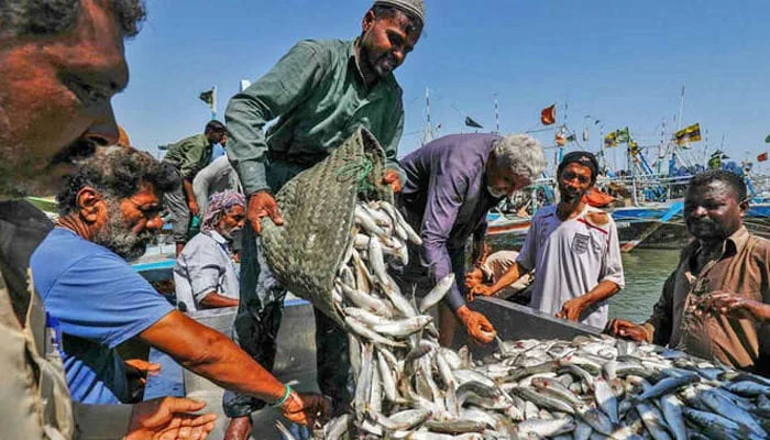 fishing news buy and sell
