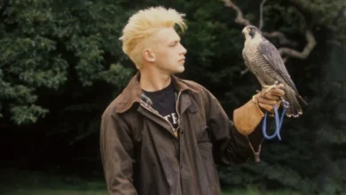 tv shows with chris packham