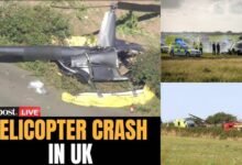 isle of wight news
