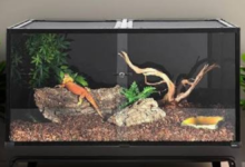 120 gallon reptile tank