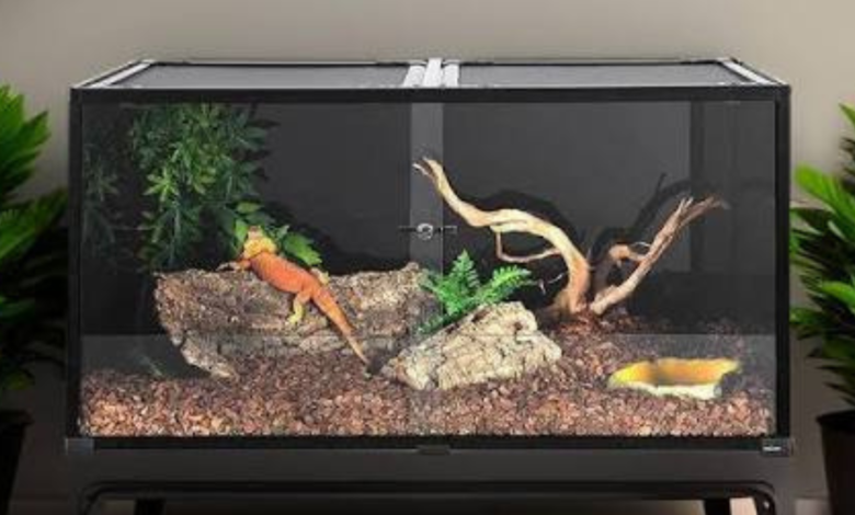 120 gallon reptile tank